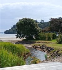 Shelly beach Coromandel-1