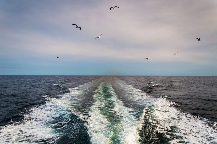 Wake from a boat in the Atlantic Ocean and seagulls..jpeg