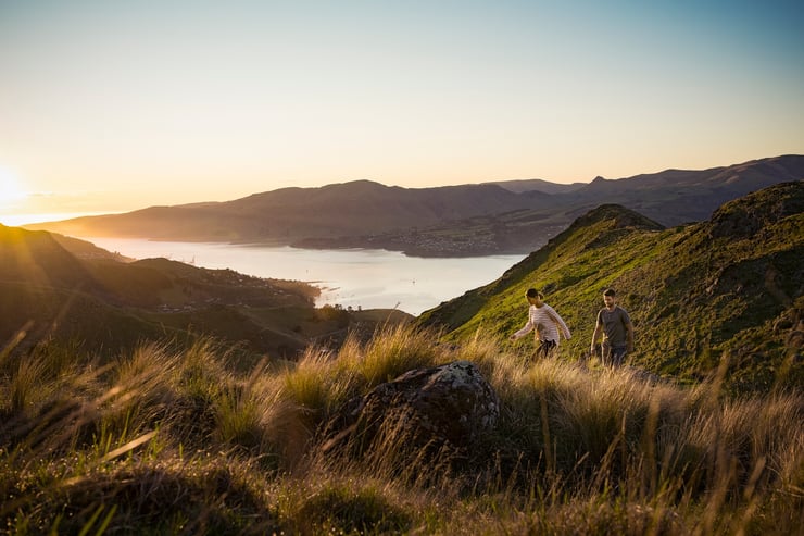 Port-Hills-Christchurch-Julian-Apse.jpg