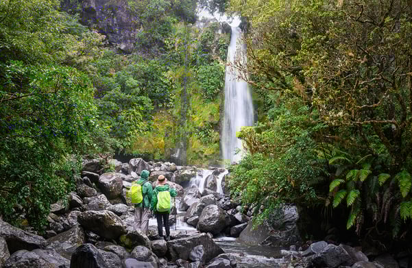 dawson-falls-egmont-national-park-taranaki-new-zealand